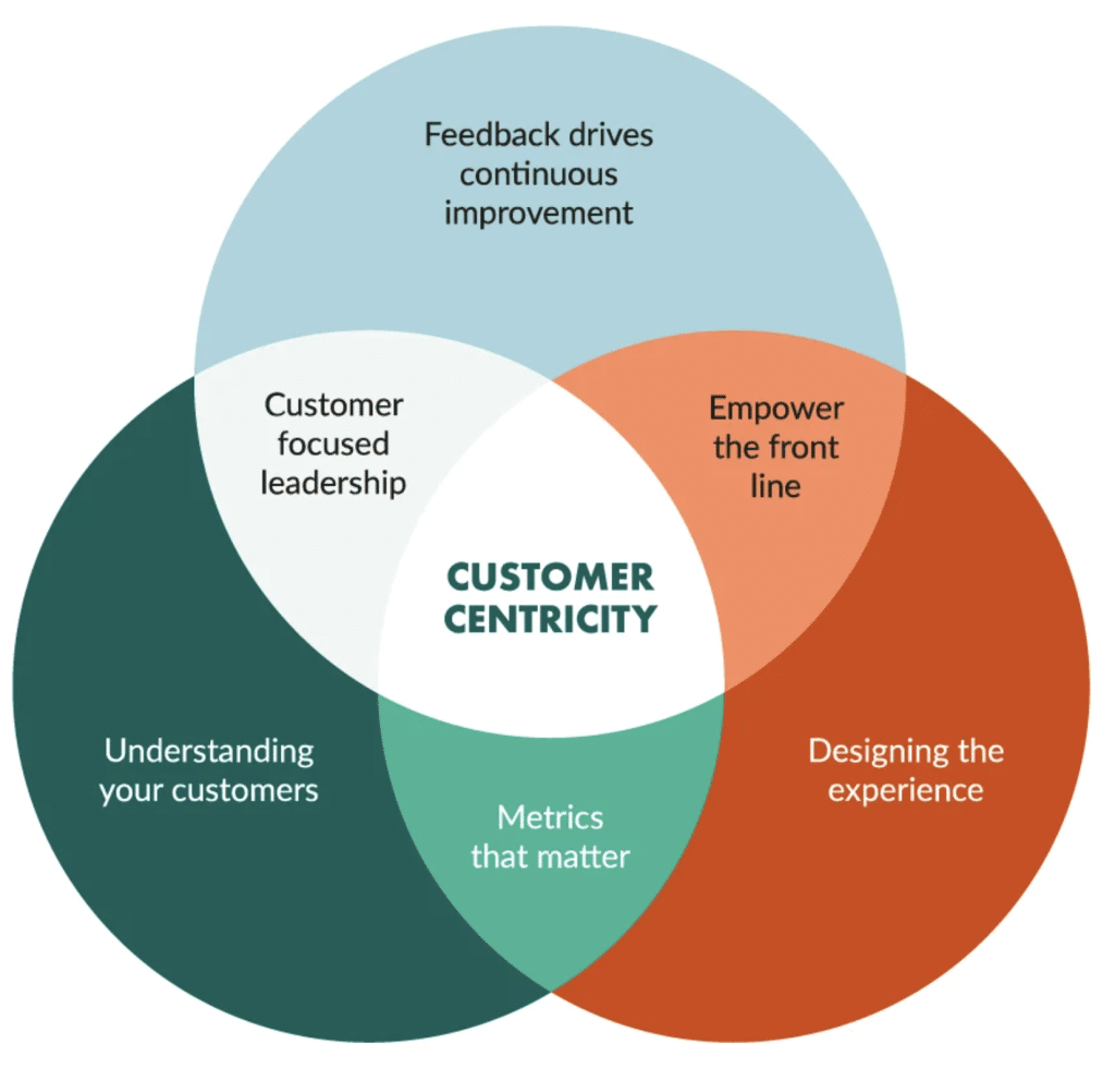 graphic shows key components of customer centricity so businesses can see more profitable marketing outcomes