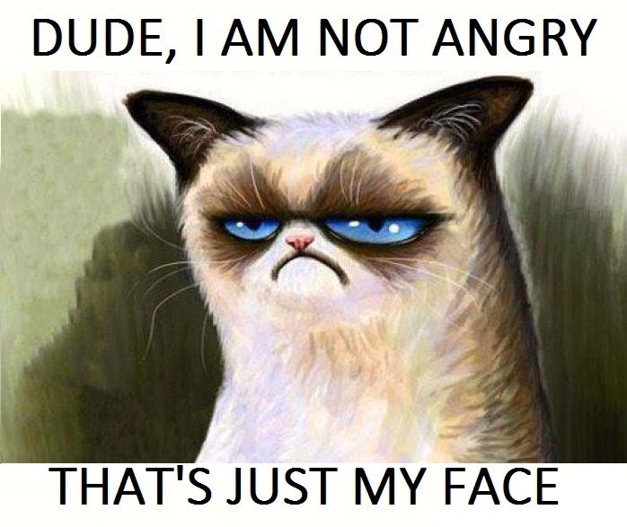 grumpy cat not angry