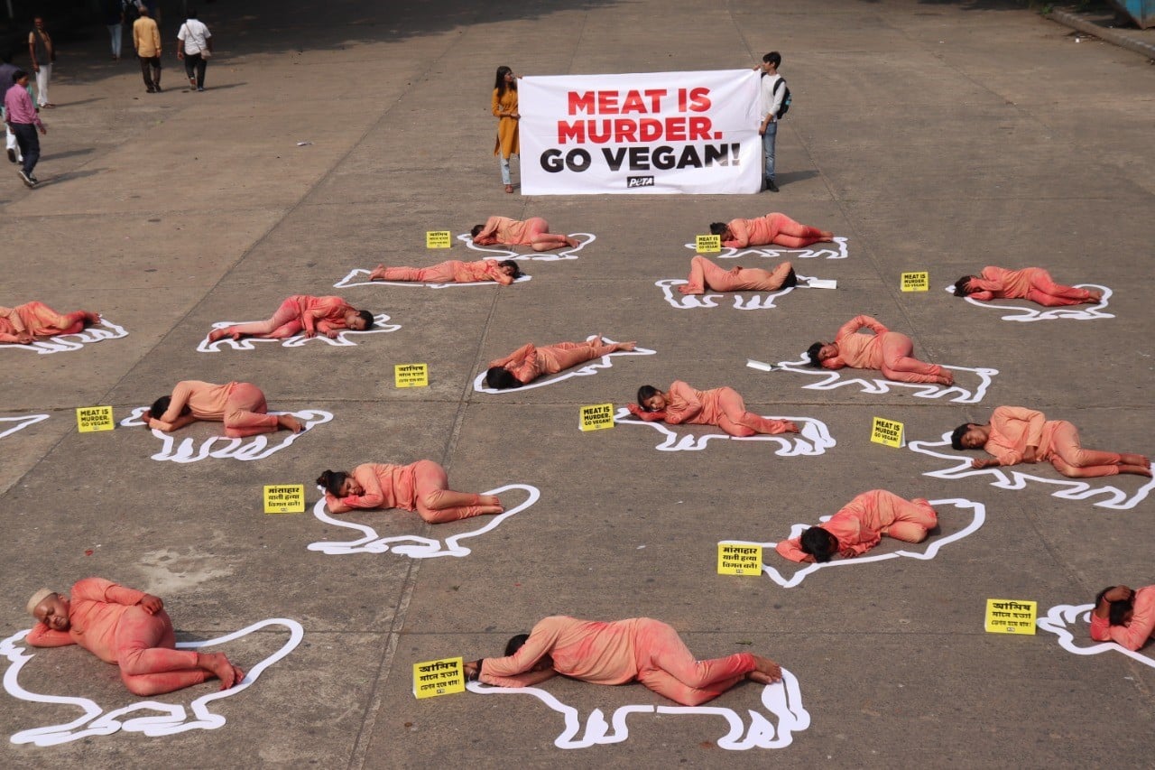 PETA meat is murder cmpaign featuring 'bloody' humans in animal shaped outlines