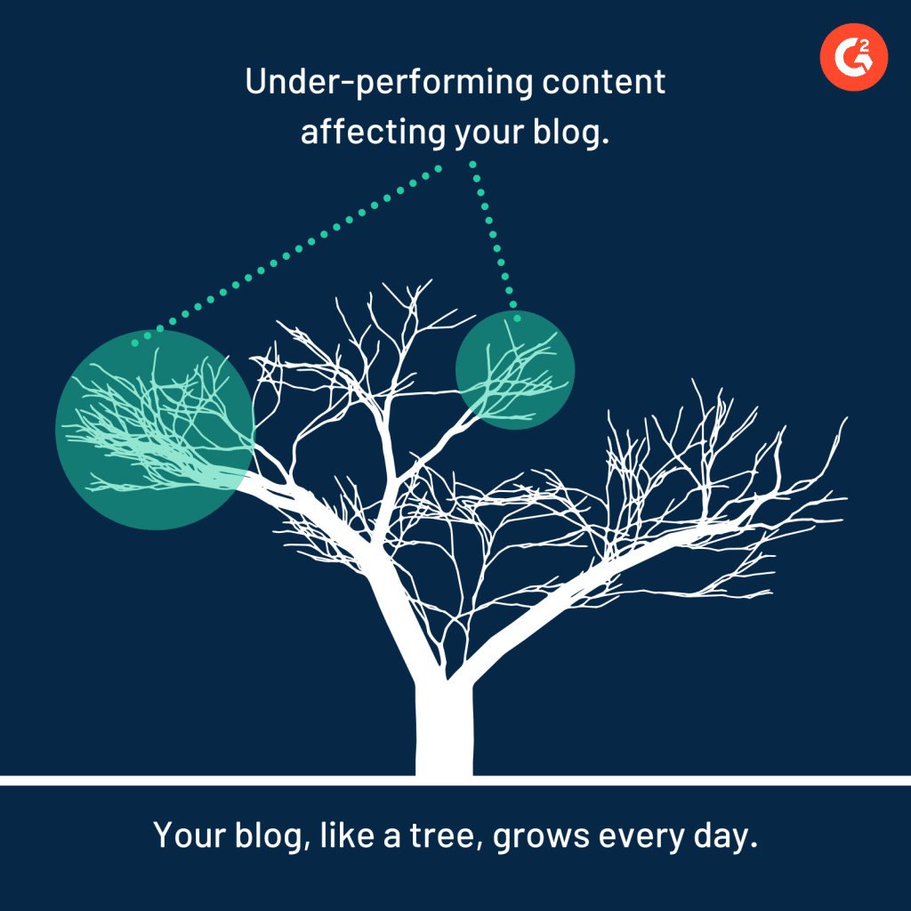 A tree that represents the purpose of content pruning