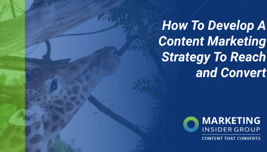 How to Develop a Content Marketing Strategy to Reach and Convert